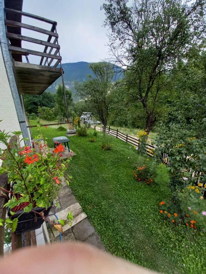Apartment Sijakovic Mokra Gora Bagian luar foto