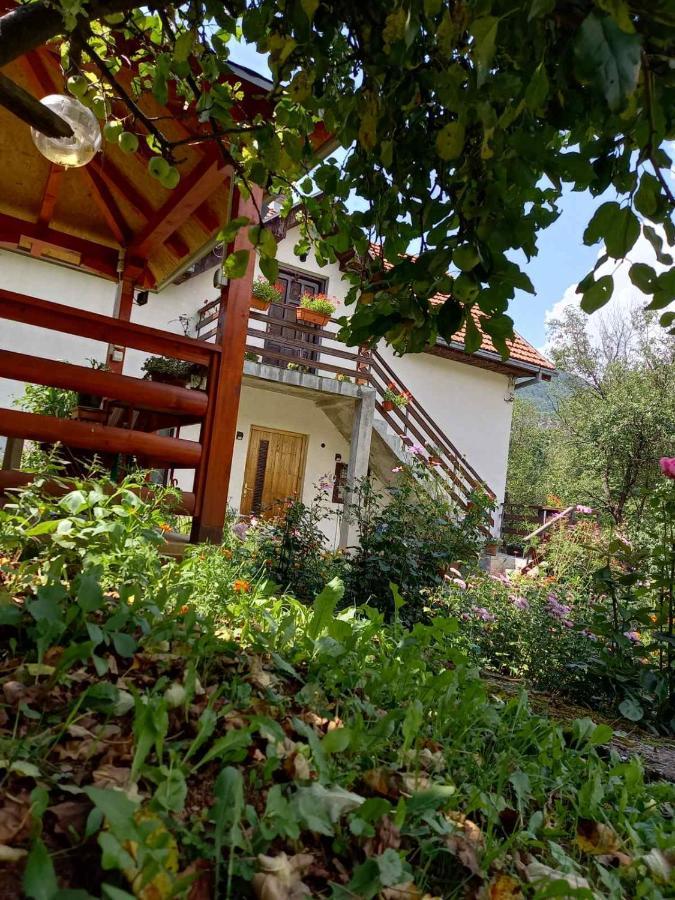 Apartment Sijakovic Mokra Gora Bagian luar foto