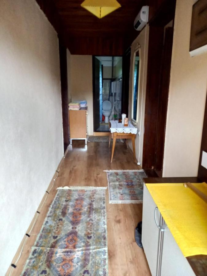 Apartment Sijakovic Mokra Gora Bagian luar foto
